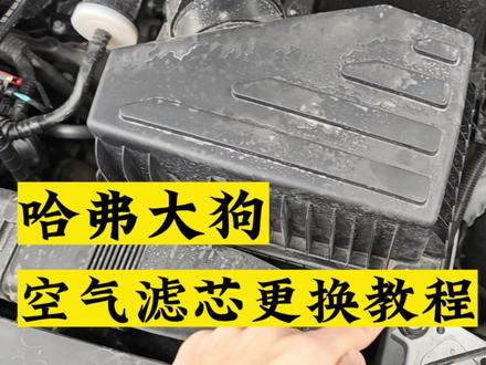 哈弗大狗,空气滤芯更换教程#汽车保养知识 #哈弗大狗 #汽车 #养车 #空滤
