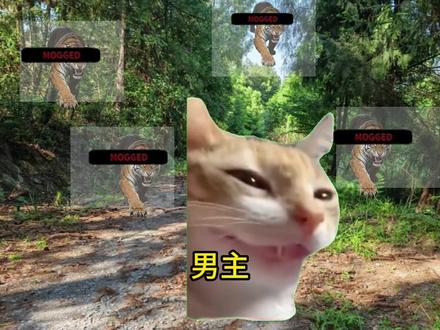这还是人类吗?#猫meme #男主 #猫meme剧场 #猫meme日常 #离谱