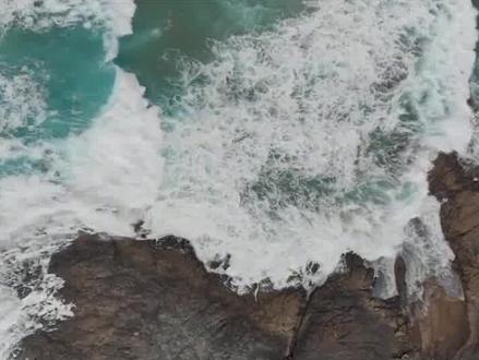 江苏射阳发现“30米巨蟒”,出没地点雷电交加,这是要“渡劫”?