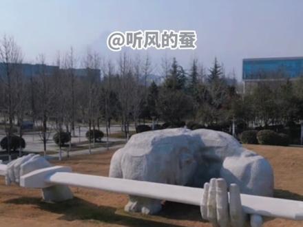 被听风的蚕这句话深深的感动#听风的蚕