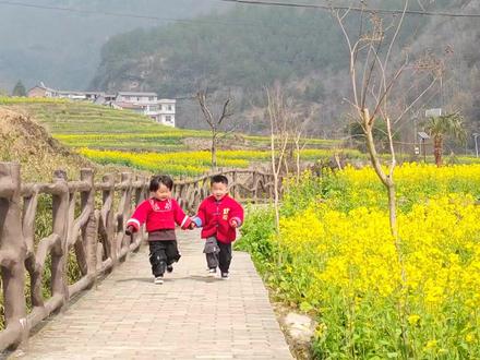 自驾踏春赏花两日游攻略,子午梅苑、石泉老街、后柳水乡、吴家花屋,黄龙瀑布、西乡樱桃沟#自驾游风景 #旅行攻略