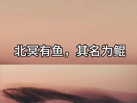 北冥有鱼,其名为鲲#vlog #人民日报 #科普 #涨知识 #vlog十亿流量扶持计划 @DOU+小助手 @DOU+上热门 @人民日报