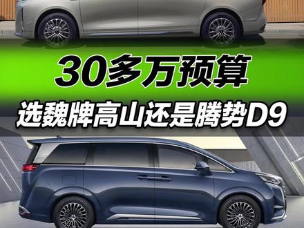 30多万预算 选魏牌高山还是腾势D9#新能源领航计划 @抖音汽车 #成都车展 #魏牌高山 #腾势d9