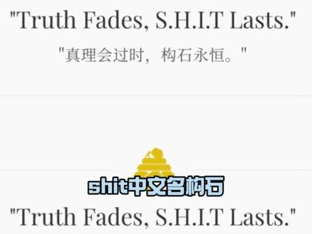 shit不是乱搞,这是一场温柔的自我松绑#shit #SHIT #论文 #学术 #构石