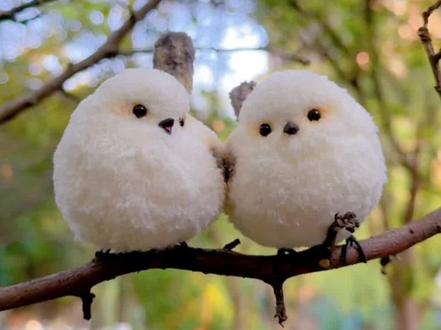 肥啾教程来了#我的手作 #扭扭棒 #教程 #肥啾