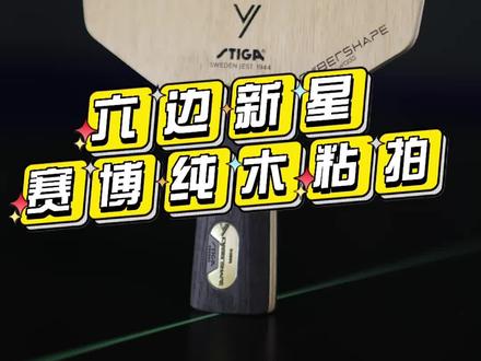 六边形新星 —— 赛博纯木。你不来一块吗?#乒乓球拍 #乒乓球 #好物推荐🔥 #快乐乒乓球🏓 #邹阳教学 #体育用品