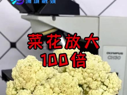 菜花上变黑的地方你知道是什么吗?