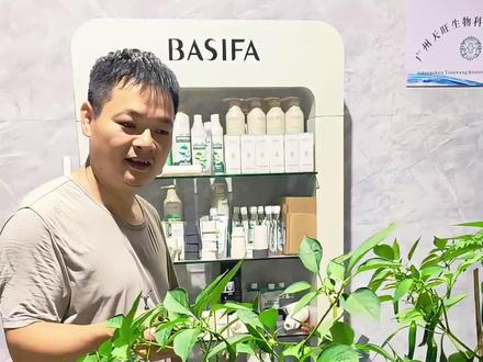 种植不用土?鱼菜共生系统种植方法简单介绍#鱼菜共生#家庭农场#阳台种菜#智慧农业