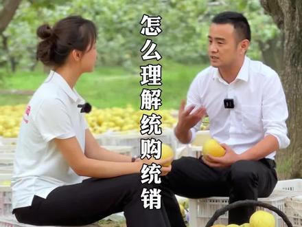 怎样理解“统购统销”?下#砀山酥梨 #我为家乡农产品代言