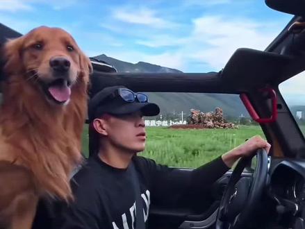 聚在一起,就是最好的中国汽车文化 #全民玩车 #一起玩才好玩