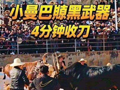 小曼巴🆚黑武器,4分钟收刀。
#斗牛比赛