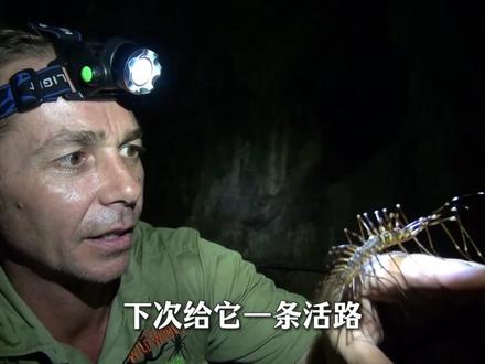 第50集 它替你杀蟑螂,而你却要拍死它,你们都管它叫什么?#青年创作者成长计划 #蚰蜒 #科普 #知识前沿派对 #涨知识