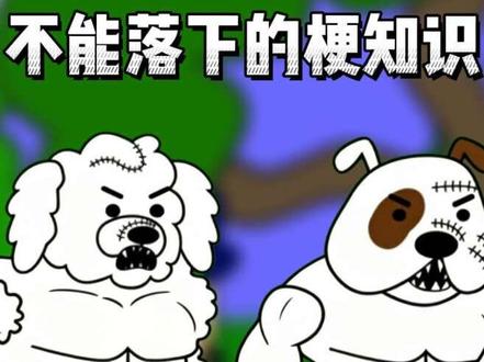 肉肉肉是什么梗#肉肉肉 #双子星 #梗图 #梗百科