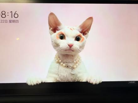 理想OTA8.2。动态壁纸设置教程!#龍理荟黑龙江理想车友会 #理想汽车 #理想车友会 #理想生活进行时 #世界不能没有猫猫