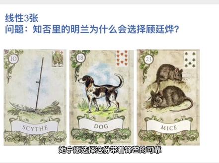 本视频为雷诺曼牌阵逻辑分析教学,仅作思路参考,不涉及封建迷信,不构成任何决策依据。#雷诺曼 #雷诺曼教学 #雷诺曼卡牌 #雷诺曼入门