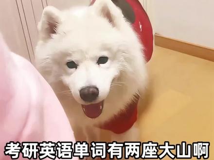 导学|无痛攻克考研形近词 这个系列我将全程手写拆解,教大家用口诀谐音区分形近词~
拒绝死记硬背,跟着学就完事啦!#考研 #英语单词 #形近词#27考研 #考研英语