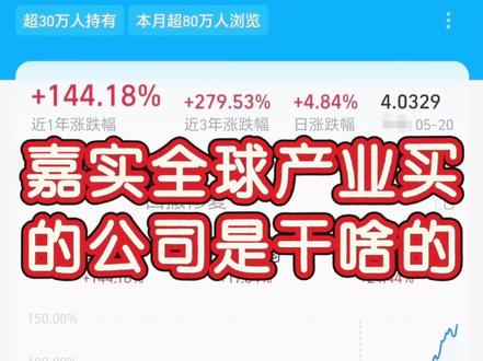 嘉实全球产业买的公司都是干啥的❓ #基金 #金融知识分享传播正能量