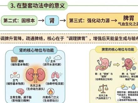 金刚功第三式,对拉动作养脾胃 #八部金刚功#养脾胃 #修行#养生#手足前后固肾腰