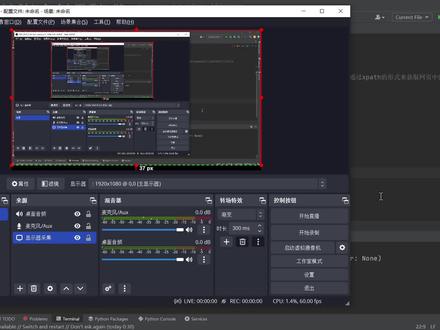 04-json解析-抓取网页json #python爬虫 #毕业设计 #大数据 #教程