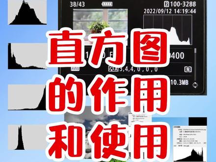 直方图的作用和使用方法#摄影 #摄影器材 #摄影教程