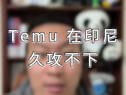 temu 在印尼久攻不下#temu