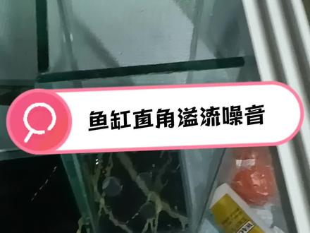 接触鱼缸直角溢流严重,只需要双下水就可以 #鱼缸噪音