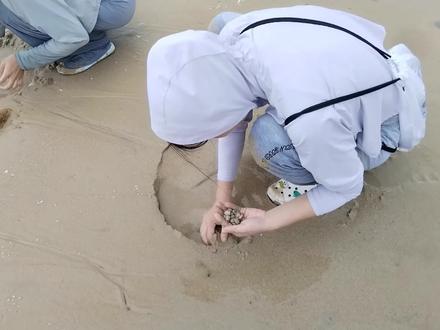 深圳赶海好去处|徒手就可以捡到很多贝壳 #赶海好去处 #深圳赶海攻略 #深圳赶海宝藏沙滩 #深圳周末好去处 #深圳周末遛娃好去处