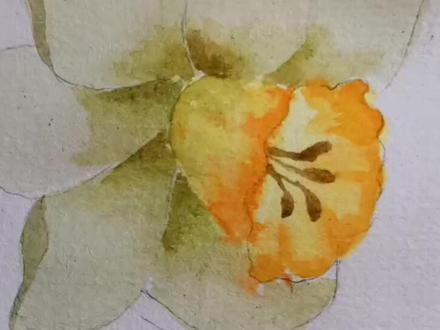 水彩-画一朵水仙花#一起学画画 #画画 #每日一画 #想画就画 #绘画过程 #画画使我快乐 #绘画 #艺术 #原创 #画渣日常 #画画练习打卡 #摸鱼 #手绘 #画画打卡 #日常瞎画 #绘画练习 #画画其实很简单 #教你学画画