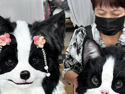 跟赵姨一起做兽头(奶牛猫边牧)
#兽头#兽装#猫 #兽装