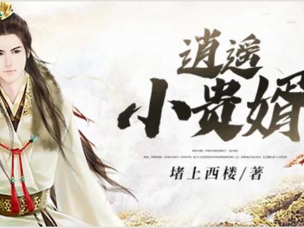 【逍遥小贵婿】第两百零九章 长夜空 (下)#小说 #小说推荐 #
