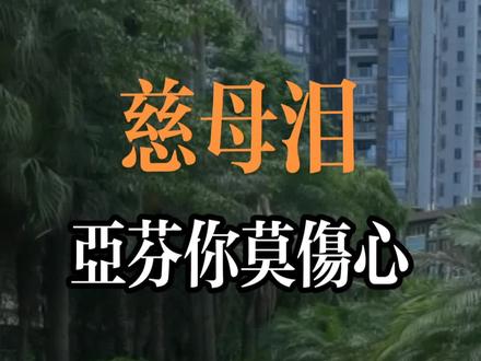 #慈母泪 《亚芬你莫伤心 》