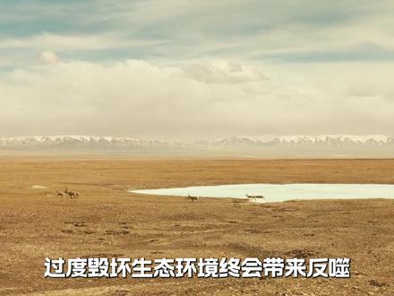 解析《生命树》的立意到底有多深刻? 它讨论的是人与自然共生的问题,当面对极大的诱惑时,人们的底线会一降再降。无人区外是和人打交道,无人区内是和人性打交道。#胡歌 #杨紫 #生命树 #影娱漫谈编辑部 #了不起的精讲团