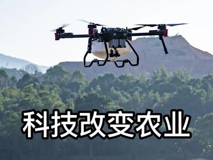 【科技改变农业】看看不同撒肥方式的效果对比!人工手撒&#极飞农业无人机 #科技改变生活 #农业种植 #农业机械