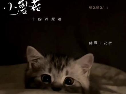 不懂就问 蘑菇也要打黑工吗?#小蘑菇广播剧 #一十四洲 #孙路路 #杰大 #原耽