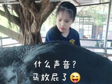 #马场日常 #骑马 #现场实拍 #人与动物和谐共处 #神奇动物在抖音 什么声音,马放屁了🤣😃