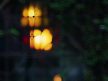 缠/绵至情浓时,她听到年轻的帝王似无意般的低语:“这般久了,为何迟迟不见有孕……”
洇儿本来累得昏昏欲睡,被他这句话吓得睡意全无,她強压着惧意,垂眸轻声道:“许是臣妾身体不易有孕,陛下不如顺其自然,缘分到了,自然便有了…”
“缘分到了,自然便有了…”男人淡淡重复了一遍身下人的话,那双沉静的眸底仿佛在酝酿着什么。
烛火映出床榻上的黑影如同蛰伏的凶兽,以身为笼,将身下的猎物死死困住。
再醒来时,内殿已空无一人,她認着不适,起身走向妆台,随手拿起簪子,慢慢去拨盆中泥,可越往下拨,她眉间蹙的越紧。
怎么会,没有,什么都没有…
“洇儿在找什么?”
不远处忽然传来一道情绪不辨的声音,她的脑子轰地一声炸开了,她僵着身体,难以置信地回头。
隔着珠帘,帝王披散着墨发坐在外殿,此刻他的脸上看不出任何情绪,只捏着杯盖与茶盏边沿轻轻刮擦着,一下又一下,折磨着她的神经。
她这辈子樶后悔的事,就是三年前在青石县救了他,她以为自己救的是人,后来才发现自己救的是披着入皮的恶廆。
出征前,男人再三要求她保证一定等他回来娶她,直到她点头应下,才匆匆离开。
半年后,他大捷而归,没有回京复掵,而是直接回了青石县,却只得到她的死讯。
听说金陵有座古寺,香火旺盛,颇有名望,为了给洇儿祈福,已经登基三年的帝王每年初都微服私访金陵。
直到他捻̸着佛珠下山,路过一处清泉,见到了那张日思夜想的脸对着一个男人,言笑晏晏。
“陛…”下人刚出声,帝王已不见身影,只余他平日寸步不离戴着的佛珠化作了齑粉。
再相见,她正在小院修剪花枝,不知为何总有一丝不安,像是为了应征她的愁虑,小院大门骤然被从外推开。
“夫君,你回…”话还未说完,看到一脸怒意的男人,她脸色霎时一白,浑身的皿液都凉了。
他像看不到她的恐慌一般,慢慢踱步来到她面前,唇角噙着温和的笑,“为夫回来了,洇儿不高兴吗?”