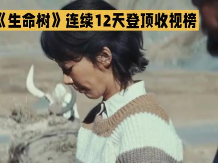 《生命树》收视霸榜12天,杨紫演技获赞#春节电影