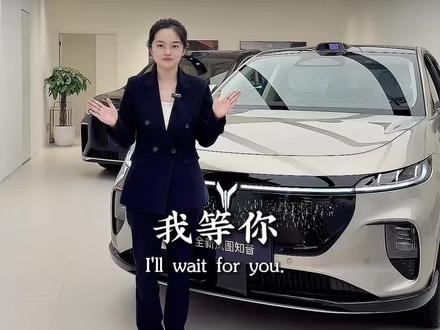 20万级智能天花板!2026款岚图知音,全系华为双满配!#岚图汽车#岚图知音