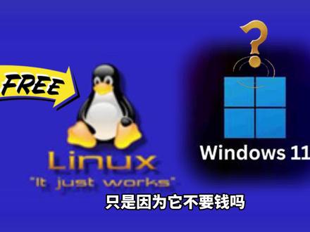 你的服务器是用的什么系统?
#Linux #服务器 #it