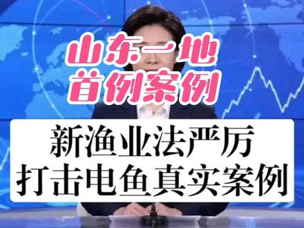 #创作灵感 #新渔业法 #非法捕捞 #电鱼的危害 #电鱼违法处罚标准