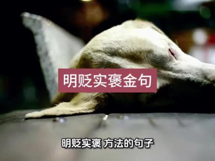 明贬实褒金句