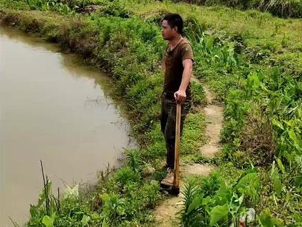 四点钟直播网红大林哥鱼塘抓大货,敬请期待…荒岛求生大林哥坐镇直播间,不见不散!