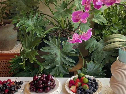 几分钟做六个口味的蛋挞拿破仑❗️❗️原来这么简单🔥高颜值下午茶☕️有手就会
食材:
12个蛋挞皮
淡奶油:350g
细砂糖:25g
草莓,蓝莓,车厘子,树莓等水果
平炉:上下火175度烤15分钟
风炉:上下火200度烤10分钟#快手甜品 #蛋挞皮的创意吃法 #在家做美食 #拿破仑 #简单易学