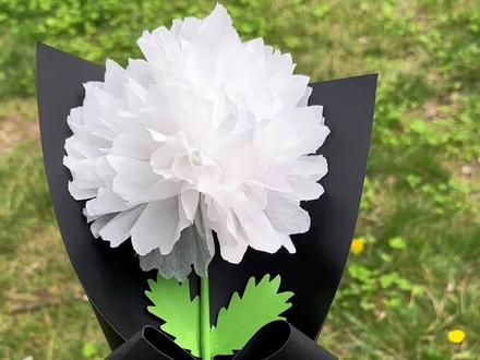 #清明节 快到了!教你用纸巾就能做出漂亮的小白花缅怀先烈、祭奠英雄!快陪孩子试试吧#清明节手工 #亲子手工#