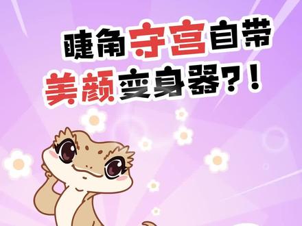 养睫角守宫的注意啦,尾巴是真不能再生呀!#睫角守宫 #守宫 #涨知识 #萌宠 #神奇动物在抖音@小鸡叫叫