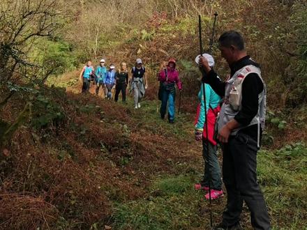 时隔多年,再次带队一行16人从红阳万亩草场徒步穿越原始森林经雷公坪走西江,全程约25公里多,于下午5点过全体平安到达西江千户苗寨。#登上山顶看美景 #喜欢爬山🏃感受大自然的气息🍀 #户外徒步登山