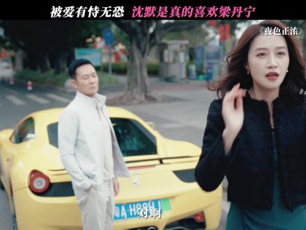 被爱有恃无恐 #夜色正浓 #蓝盈莹 #张兆辉