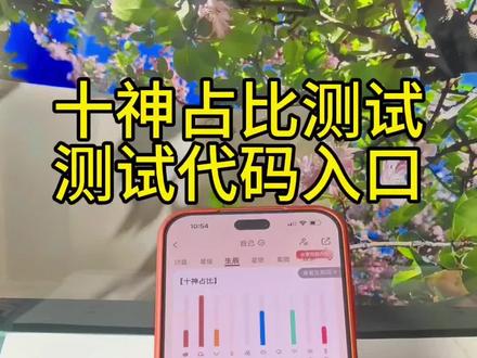 《专业角度》十神占比测试代码入口#十神 #十神占比 #十神占比测试 #十神详解 #十神占比