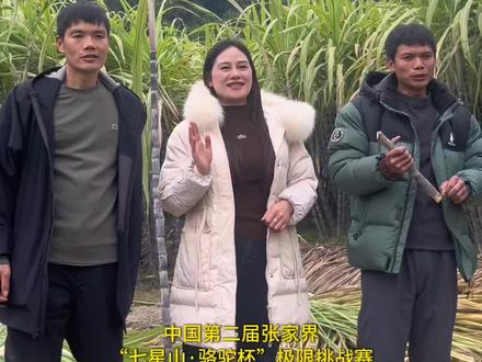 12月20号 荒野齐心兄弟到家乡的第一件事 就是砍甘蔗!#张家界七星山 #张家界七星山骆驼杯 #老六荒野 #张家界七星山老六荒野 #广西河池