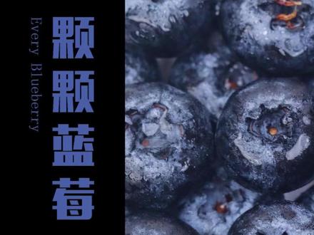 蓝莓视觉多元排版美学 #设计师 #视觉传达 #艺术生 #海报 #排版